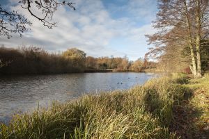 newstead abbey image 24 sm.jpg